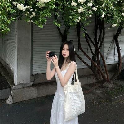 宝岛大梦